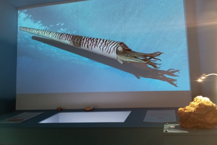 Un viaje alucinante a los mares primigenios de un Teruel sumergido hace 400 millones de años