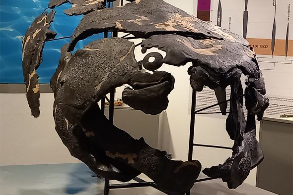 Santa Cruz de Noguera mostrará su mar paleozoico en el XXV Geolodía