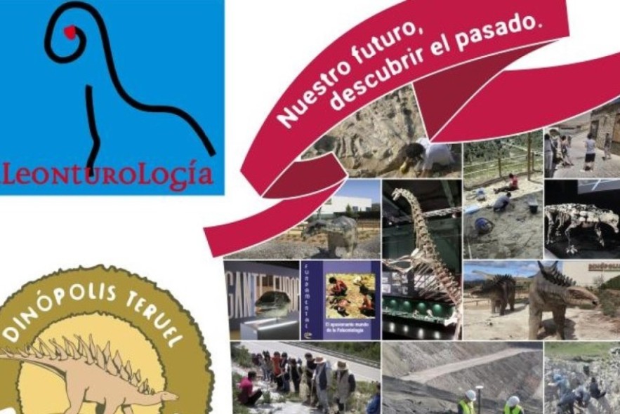 Convocado el Premio Internacional de Investigación en Paleontología Paleonturología 25