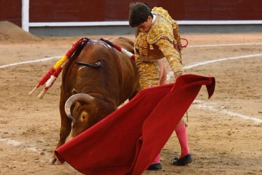 El aragonés Aarón Palacio suma  y sigue; nuevo triunfo en Las Ventas