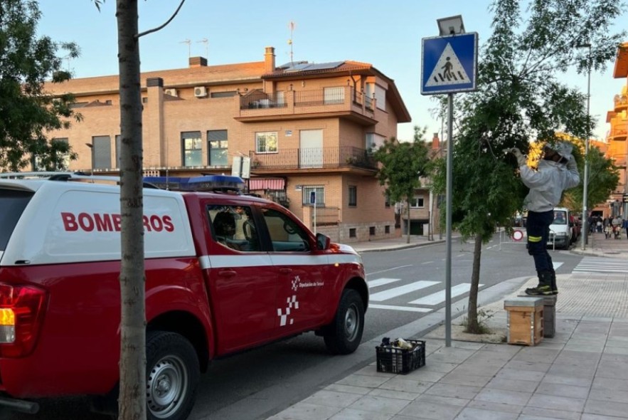 Los Bomberos de la DPT incrementan en primavera la retirada de colmenas de abejas