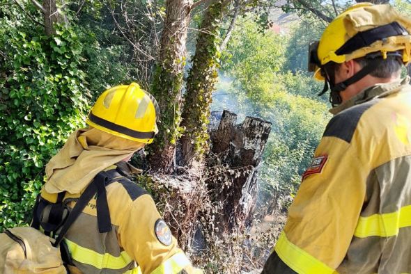 Un incendio prende 1.200 m2  de ribera junto  al parque del Lago de Alcorisa