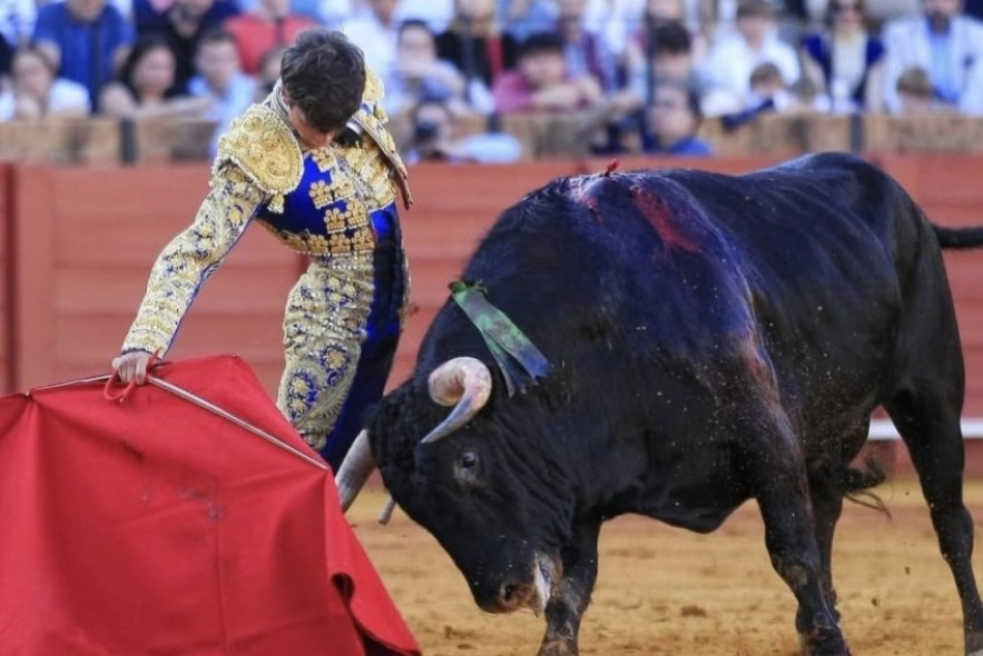 A Palacio no hay quien lo pare; triunfo arrollador en La Maestranza sevillana