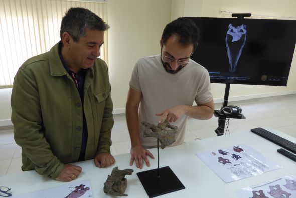 La Fundación Dinópolis da a conocer el cráneo más completo de estegosaurio de Europa