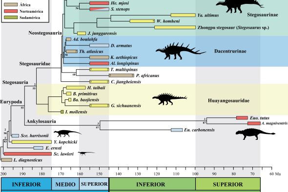 Un cladograma con las ramas evolutivas ligado a un cronograma del tiempo