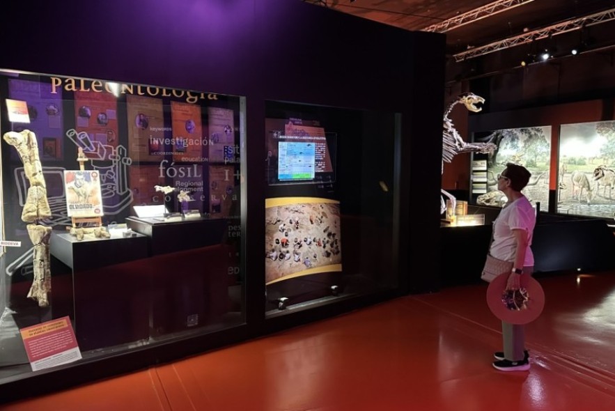 El cráneo de estegosaurio más completo de Europa ya puede verse en el Museo Aragonés de Paleontología en Dinópolis