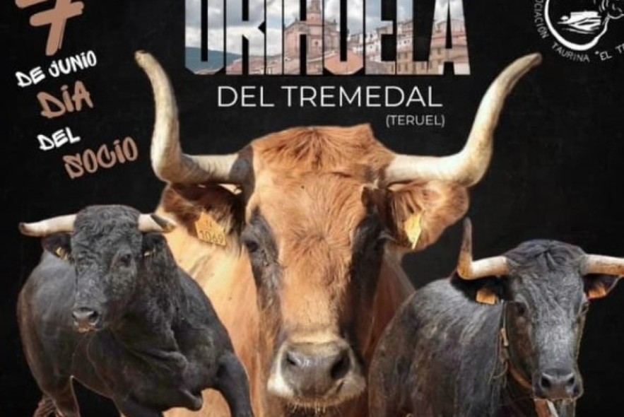 Ustarroz, protagonista de la peña taurina de Orihuela del Tremedal