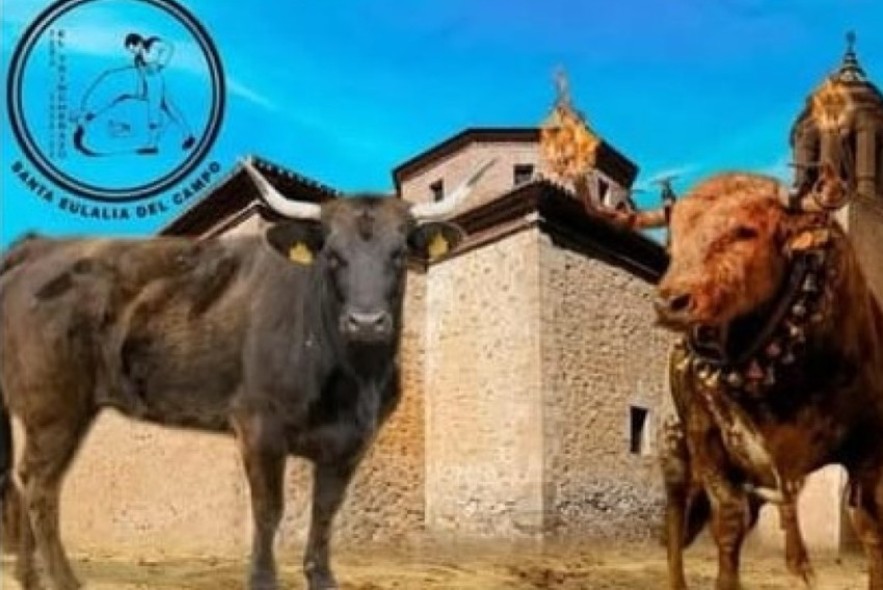 La Asociación El Trincherazo  de Santa Eulalia del Campo organiza tres festejos