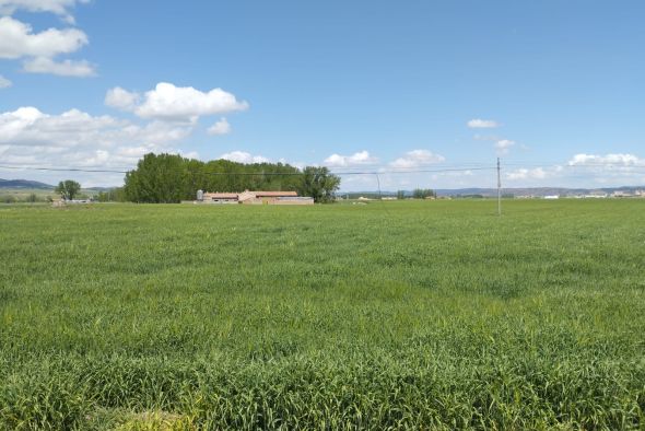 El servicio provincial de Agricultura se refuerza con la llegada de tres personas