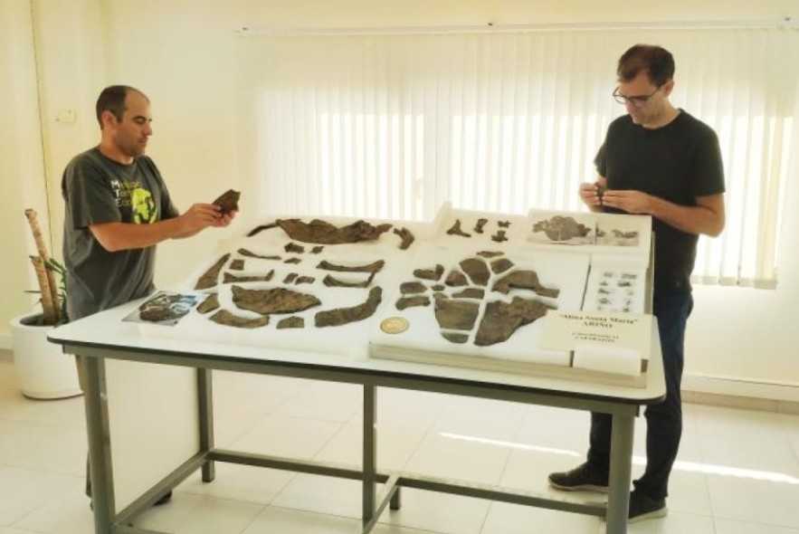 Descubren en Ariño el esqueleto más completo de Europa de una tortuga de hace 110 millones de años