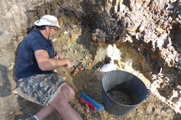 Los grandes tigres compitieron en un Teruel casi tropical hace seis millones de años