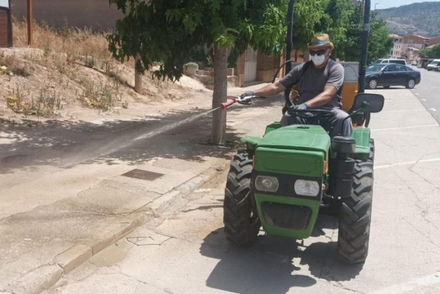 Siete pueblos del Bajo Aragón afrontan una plaga de chinches de campo