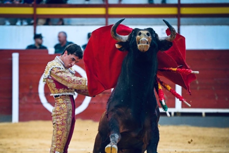 Tomás González, novillero turolense: “La afición turolense se va a encontrar  un torero que ha evolucionado mucho”