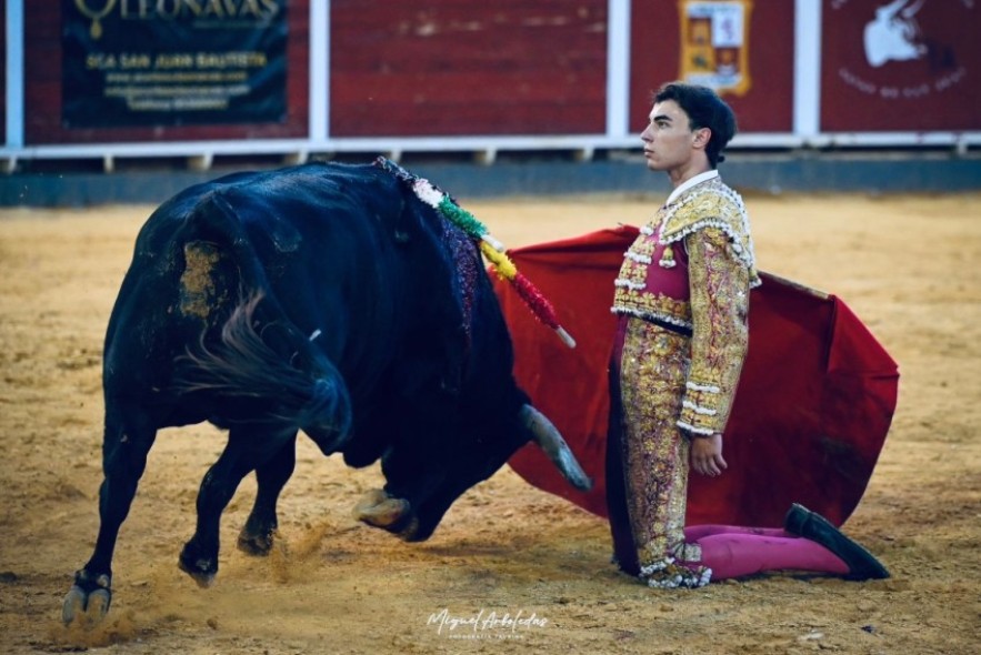 Faena de triunfo de Tomás González en Navas de San Juan