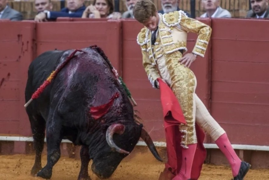 Borja Jiménez, matador de toros: “Espero dar una gran tarde de toros en Teruel, para el recuerdo”