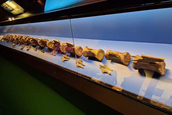 Los dinosaurios con colas como látigos que impactan en el cine se movieron por  la provincia de Teruel
