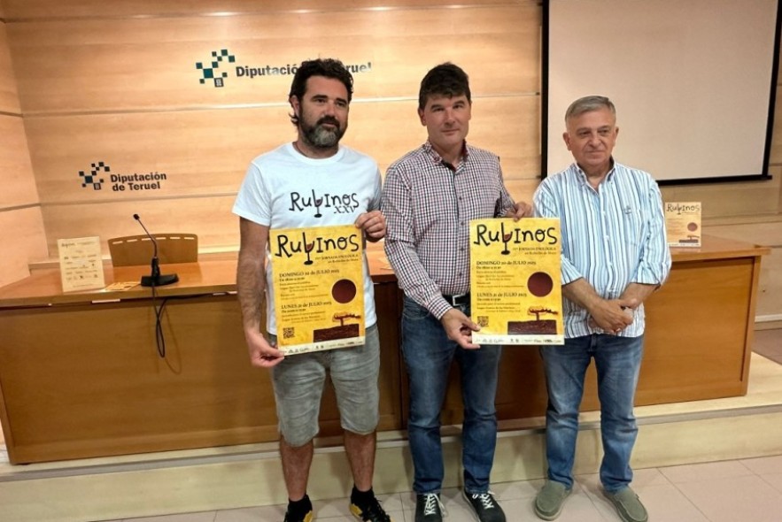 Rubielos de Mora organiza su cuarta edición de Rubvinos con el apoyo de la Diputación de Teruel