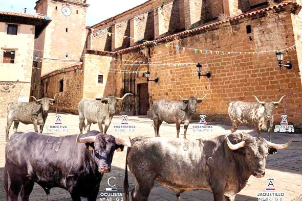 Mosqueruela celebra la fiesta de los Pastores con reses de Victorino Martín