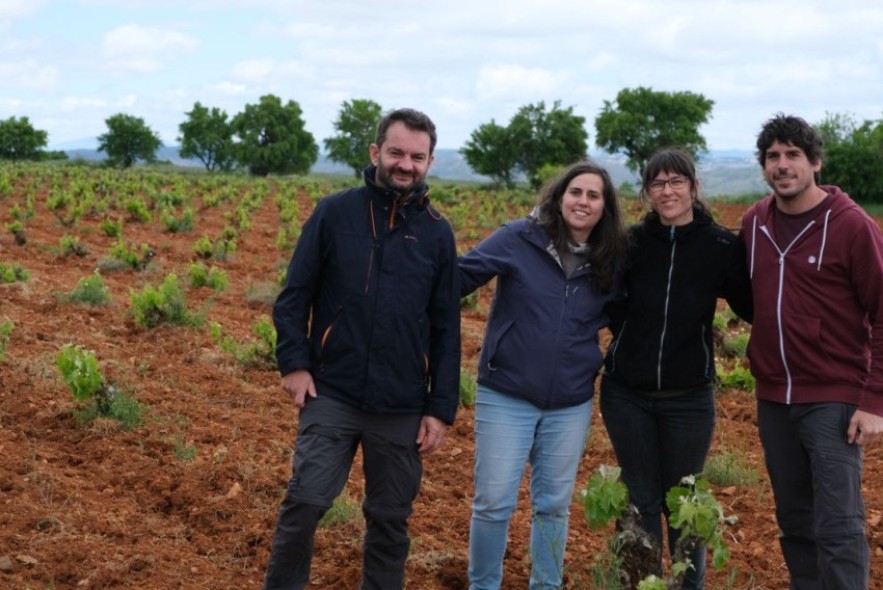 El proyecto Fite ActiviTé busca viñedos singulares y autóctonos en Teruel