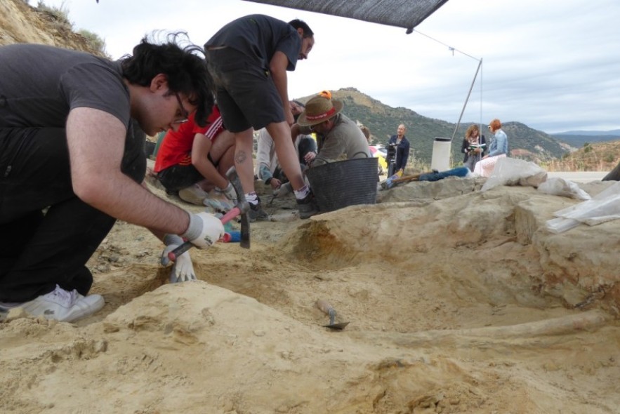 Europa mira al Jurásico Superior de Riodeva, que ha ligado su nombre a la paleontología mundial