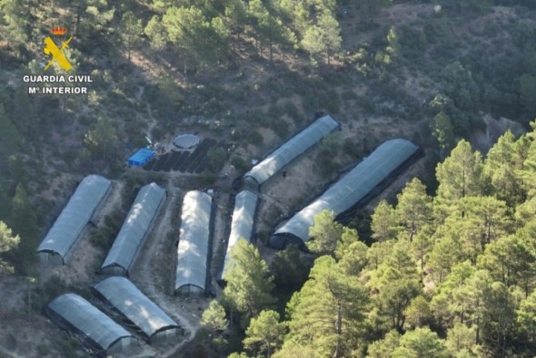 Arcos pide ayuda a la DGA y a la DPT para desmontar los invernaderos para drogas