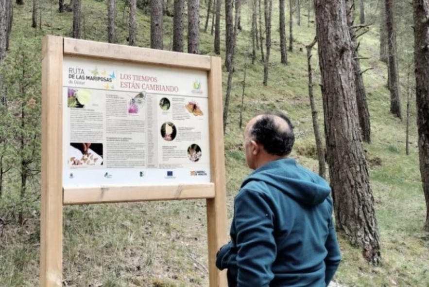 La Ruta de las Mariposas, en Gúdar, apuesta por un modelo distinto de turismo de naturaleza
