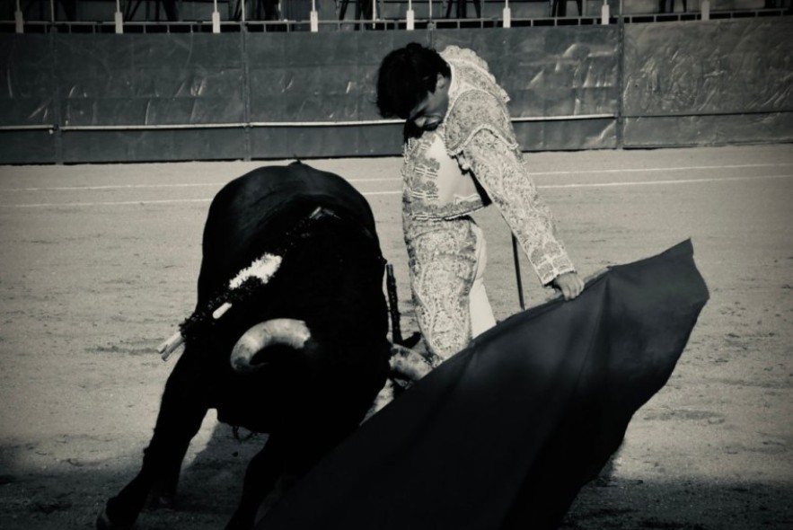 Tomás González sufre una grave cornada toreando en Marchamalo