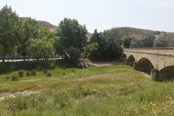 Medio Ambiente plantará en las riberas de Castelnou para controlar los cañares