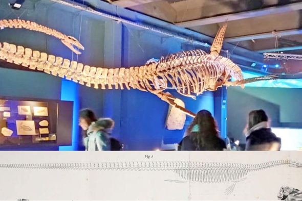 Cíclopes, monstruos de dos cabezas, dragones y bestias marinas  en el Paleontológico de Teruel
