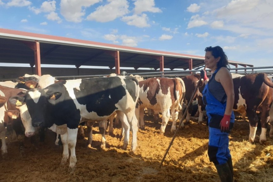 Del despacho a la granja: el giro vital de una mujer que apostó incondicionalmente por su tierra