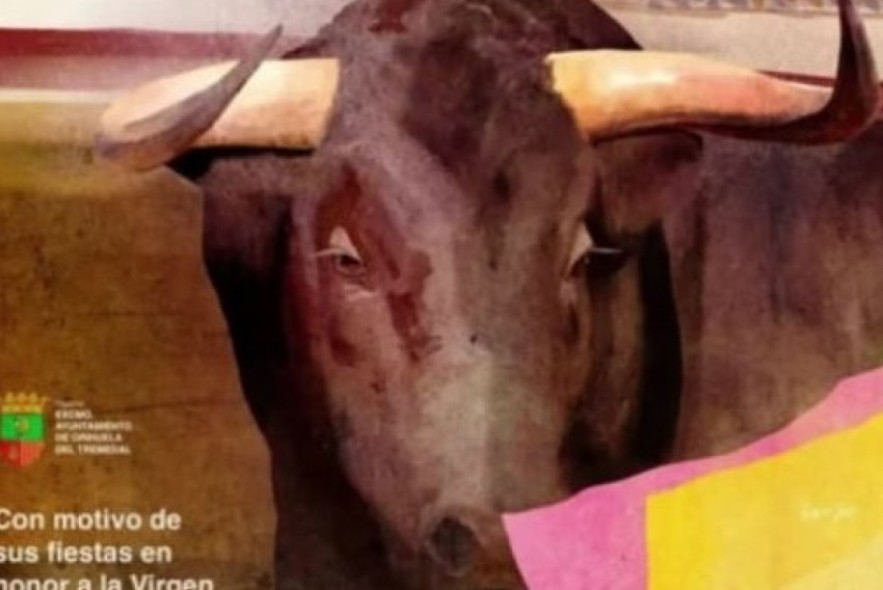 Tributo taurino a la Virgen del Tremedal en las fiestas  de Orihuela