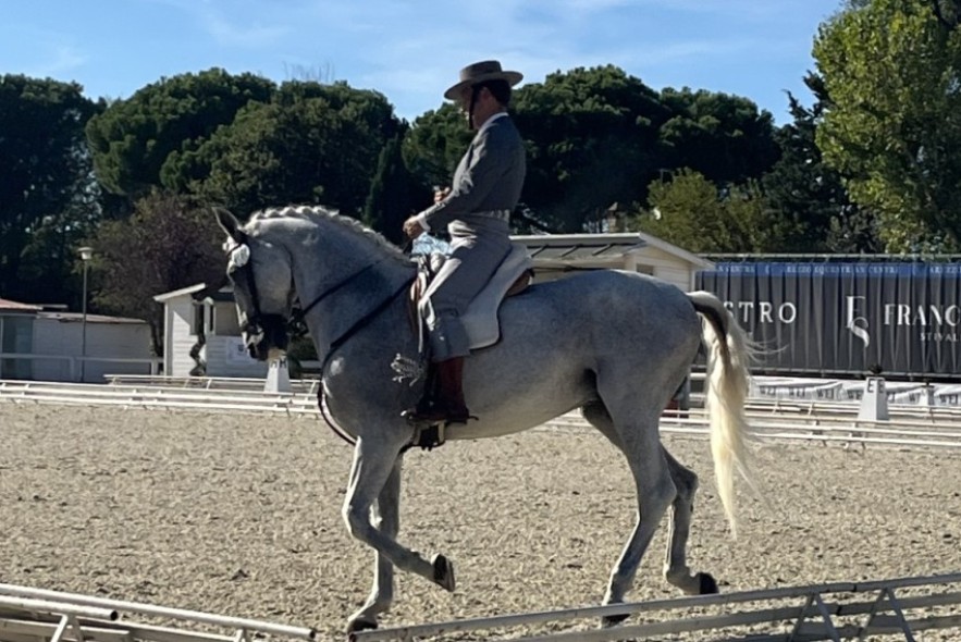 El turolense Pepe Ríos brilla en el campeonato Internacional de Equitación de Trabajo (WAVE)