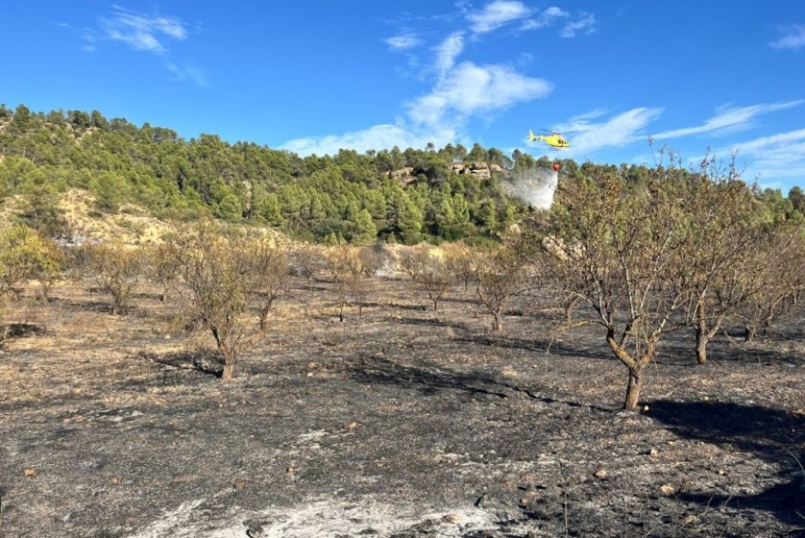 Controlado un incendio forestal en Mazaleón que afecta a una superficie de unas tres hectáreas