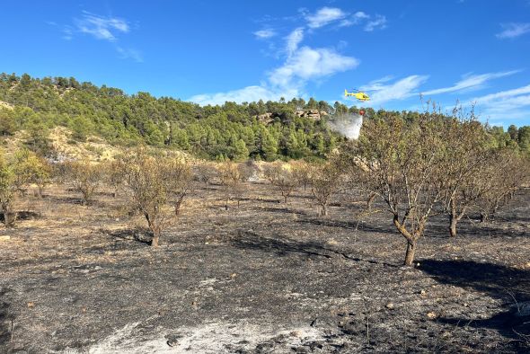 Controlado un incendio forestal en Mazaleón de entre dos y tres hectáreas