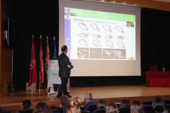 Teruel acoge el XVIII curso de Fundamentos de Obstetricia y Ginecología para residentes