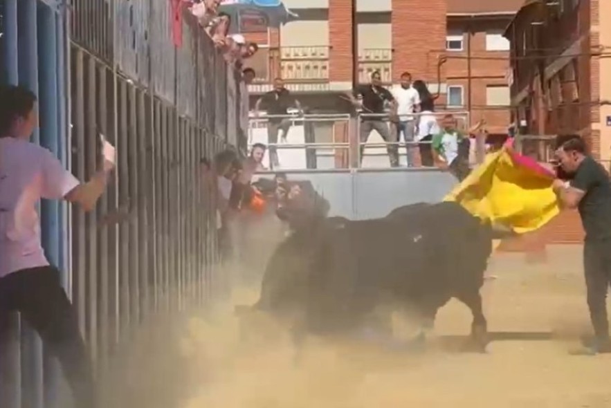 Herido un menor al ser cogido por un toro en las fiestas de San León