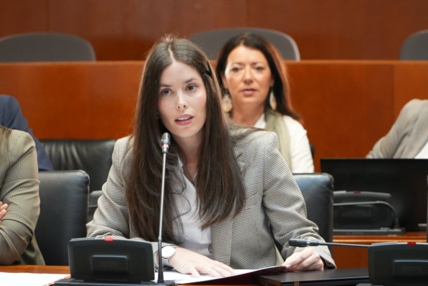 Las Cortes de Aragón solicitan que se estudie la incorporación del vial que une Cella con el aeropuerto a la red regional de carreteras