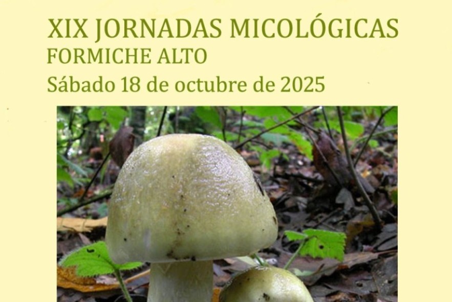Formiche Alto celebrará el 18 de octubre sus XIX Jornadas Micológicas