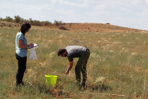 Teruel y Alcalá acogen un encuentro sobre gestión sostenible de los suelos agrarios