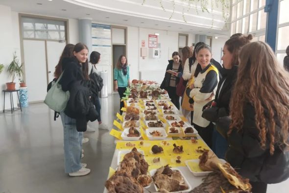 El Campus de Teruel organiza sus tradicionales jornadas micológicas