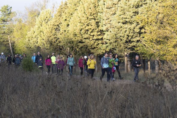 La Aragón Sur bate otra vez su propio récord con más de 900 participantes