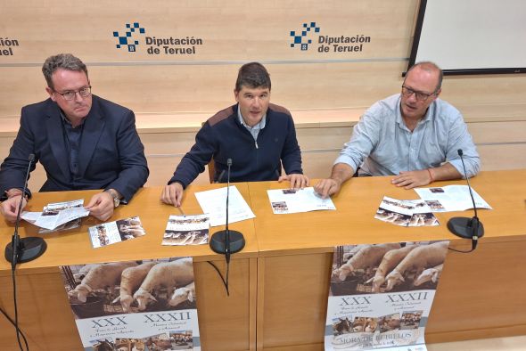 La dermatosis nodular contagiosa deja la Feria de Ganado de Mora sin bovino