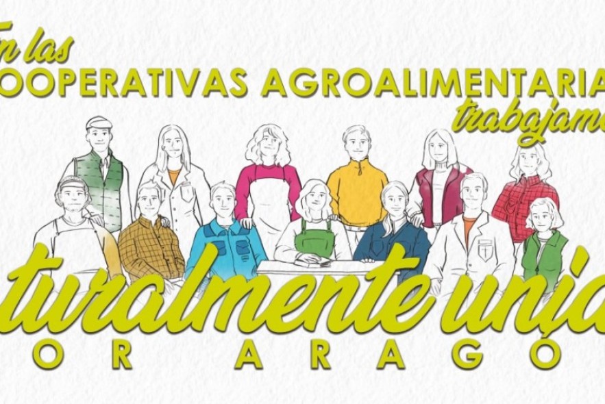 Crecer juntos: el valor del cooperativismo agroalimentario en Aragón