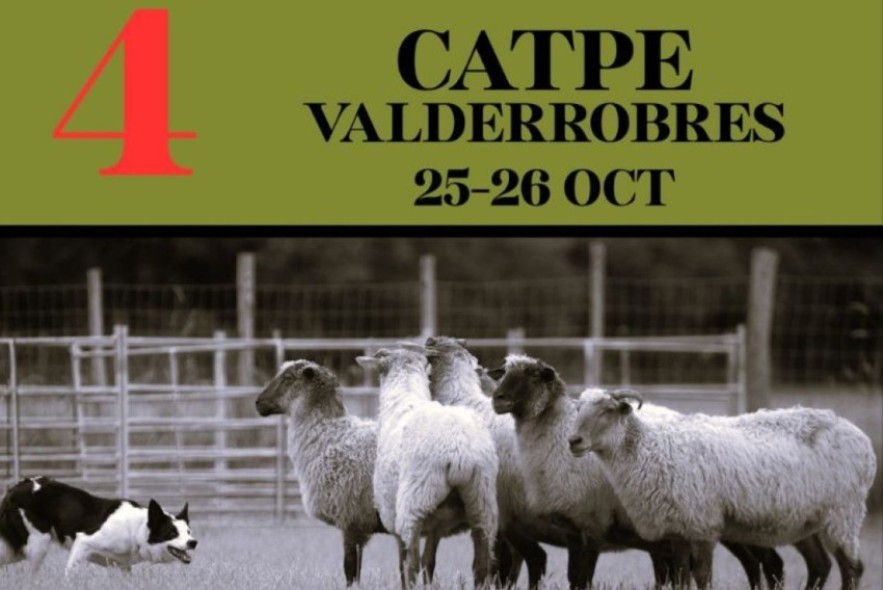 Vuelve a Valderrobres el Campeonato de Trabajo de Perros Pastores de España