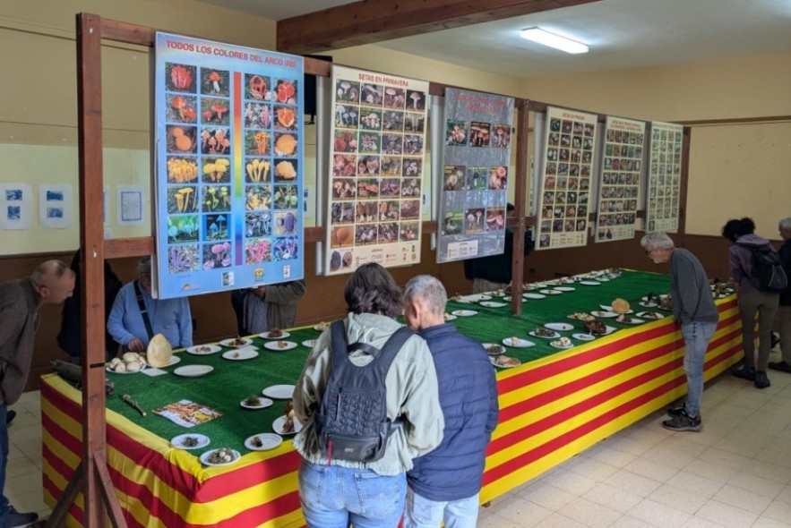 Beceite se llena de aromas en las XXVI Jornadas Micológicas y el XXVIII Día dels Bolets