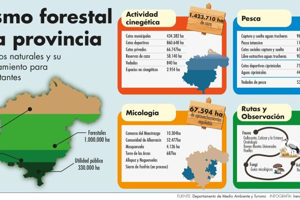 De caza a setas pasando por la berrea, el monte de Teruel es garantía de ocio