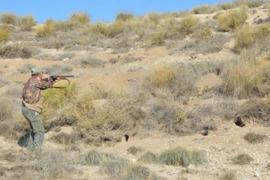 La temporada de caza empieza con un número similar de cazadores y muchas más perdices