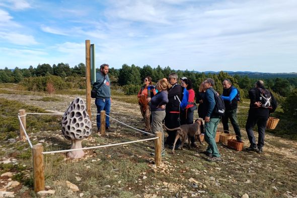 Las actividades de promoción del Coto Micológico concluyen con una charla en Villarroya de los Pinares