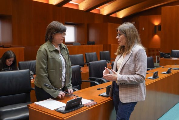 Las Cortes apoyan a la Fundación Dinópolis pero muestran un total desconocimiento de ella