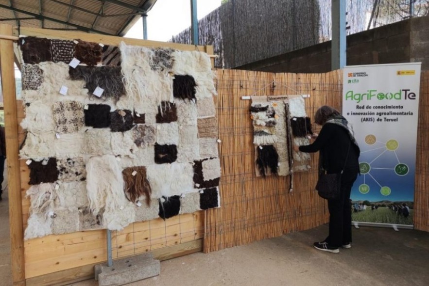 El CITA Teruel impulsa la II Feria de la Lana 2025 con una jornada técnica dedicada a la innovación y los nuevos usos de la lana